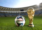 PG游戏下载-拉沃尔杯横扫戴维斯杯，德约科维奇领衔的网球新秩序诞生