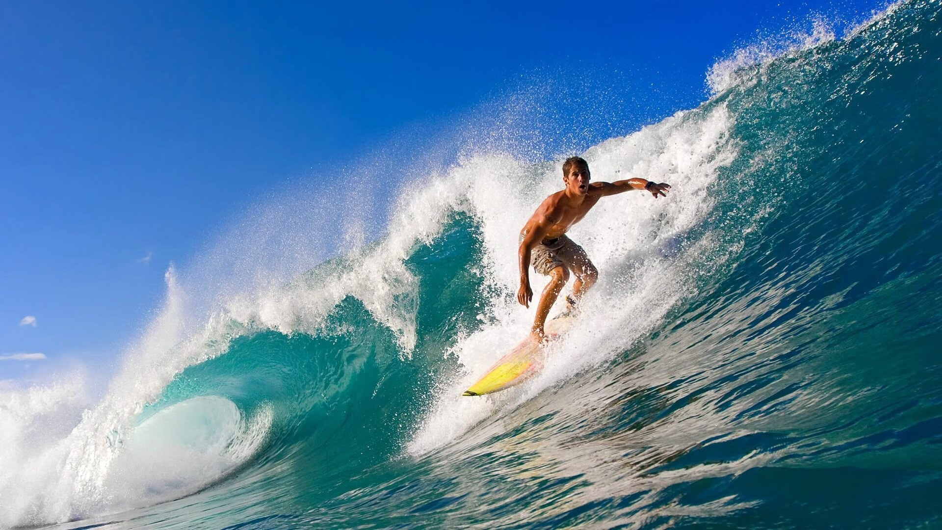 拉沃尔杯横扫戴维斯杯,德约科维奇领衔的网球新秩序诞生